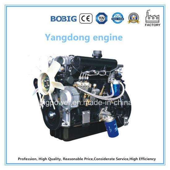 10kVA-30kVA Diesel Generator Powered by Chinese Yangdong Engine
